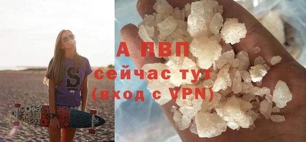 гидра Анива