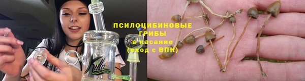 ALPHA-PVP Горняк