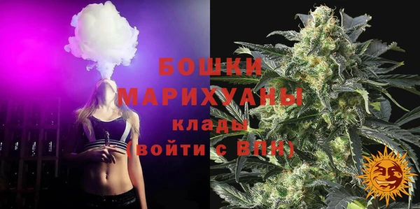 твердый Горнозаводск