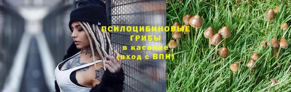 дживик Апатиты